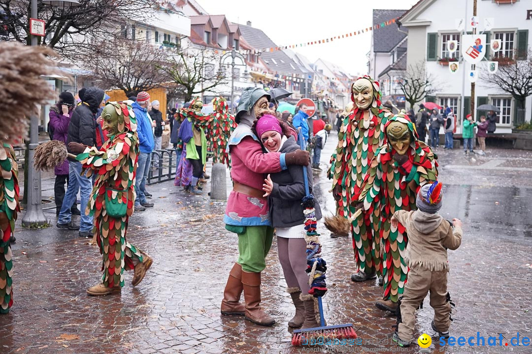 Fasnetsumzug - Fasching: Langenargen am Bodensee, 10.01.2016