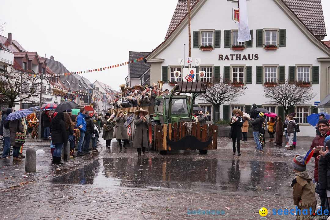 Fasnetsumzug - Fasching: Langenargen am Bodensee, 10.01.2016