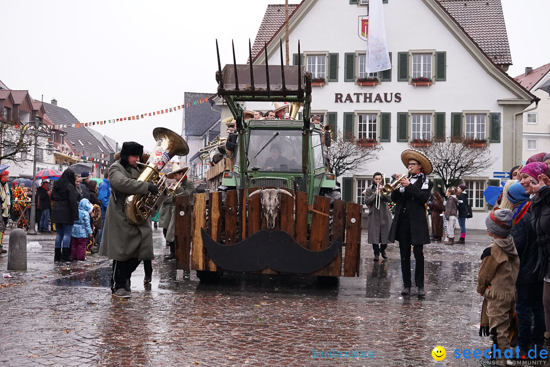 Fasnetsumzug - Fasching: Langenargen am Bodensee, 10.01.2016