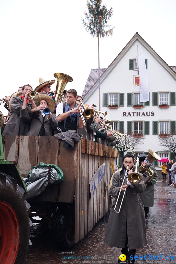 Fasnetsumzug - Fasching: Langenargen am Bodensee, 10.01.2016