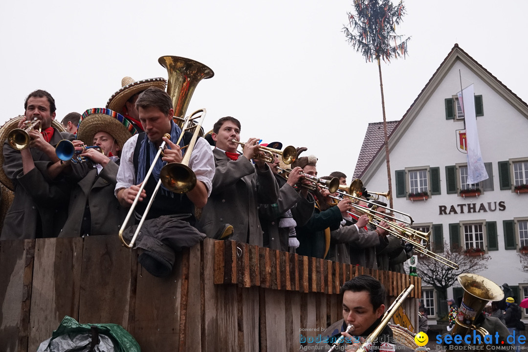 Fasnetsumzug - Fasching: Langenargen am Bodensee, 10.01.2016