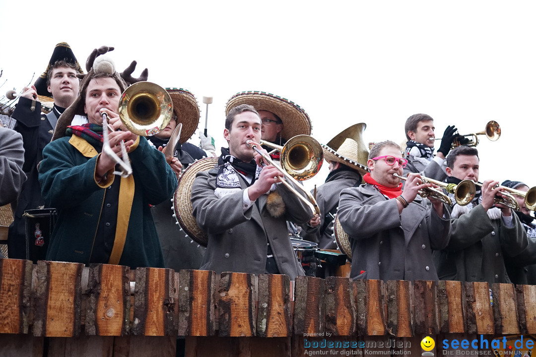 Fasnetsumzug - Fasching: Langenargen am Bodensee, 10.01.2016