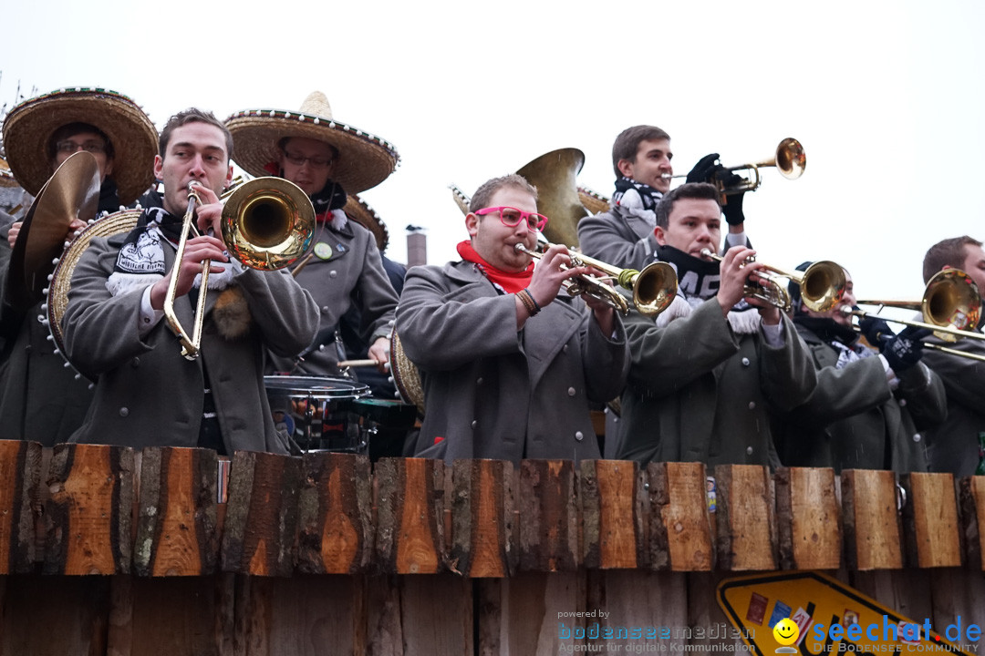 Fasnetsumzug - Fasching: Langenargen am Bodensee, 10.01.2016