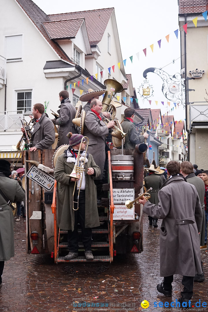 Fasnetsumzug - Fasching: Langenargen am Bodensee, 10.01.2016