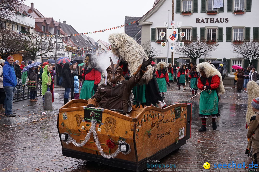 Fasnetsumzug - Fasching: Langenargen am Bodensee, 10.01.2016