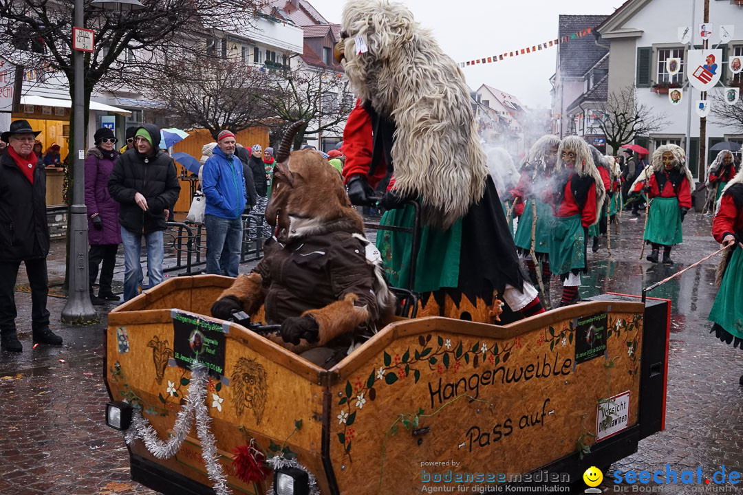 Fasnetsumzug - Fasching: Langenargen am Bodensee, 10.01.2016