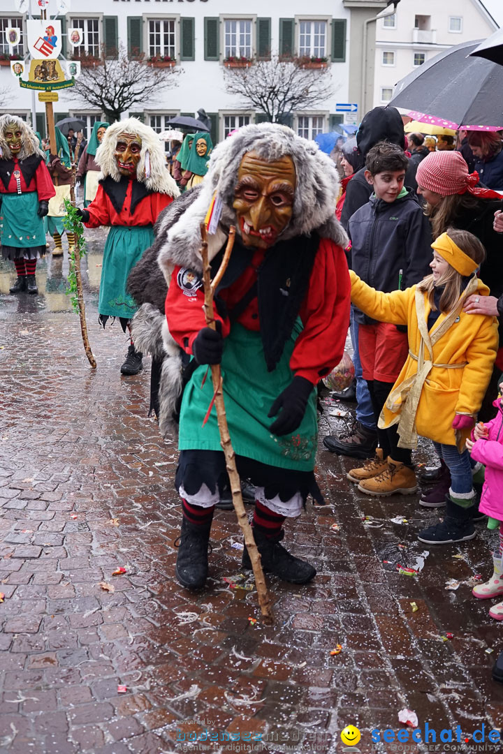 Fasnetsumzug - Fasching: Langenargen am Bodensee, 10.01.2016