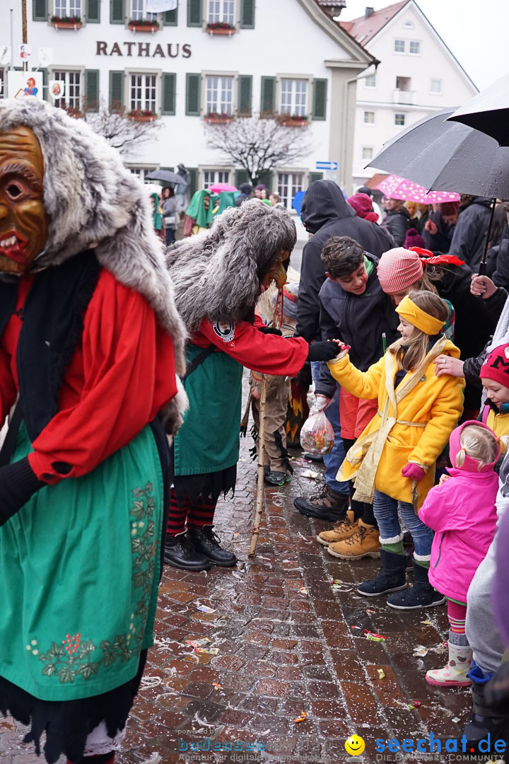 Fasnetsumzug - Fasching: Langenargen am Bodensee, 10.01.2016