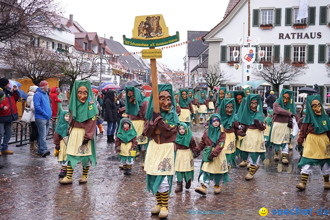 Fasnetsumzug - Fasching: Langenargen am Bodensee, 10.01.2016