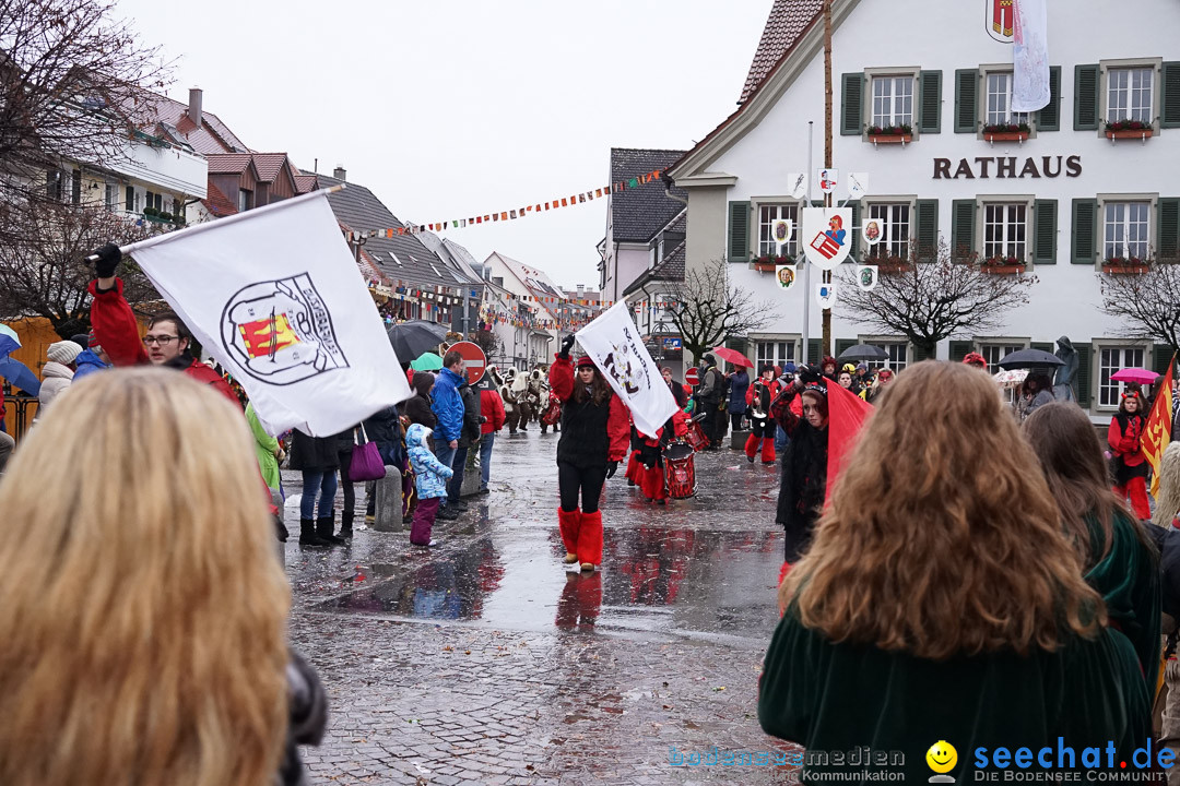 Fasnetsumzug - Fasching: Langenargen am Bodensee, 10.01.2016