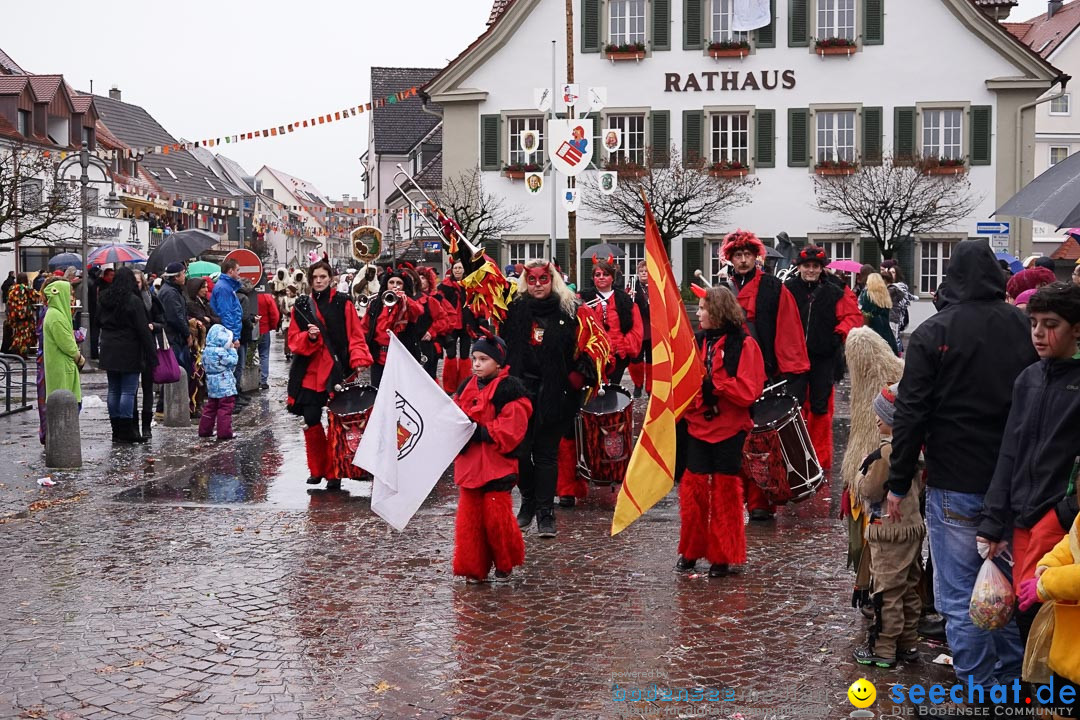 Fasnetsumzug - Fasching: Langenargen am Bodensee, 10.01.2016