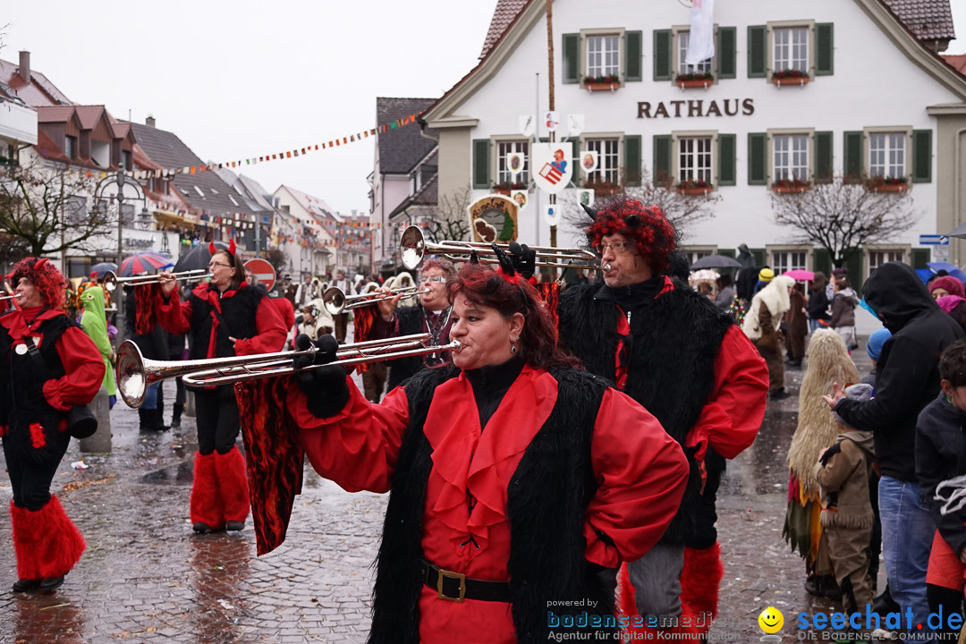 Fasnetsumzug - Fasching: Langenargen am Bodensee, 10.01.2016