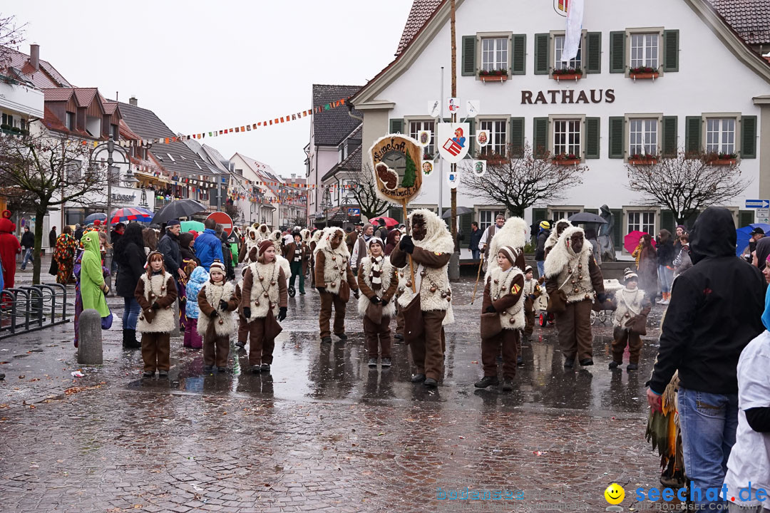 Fasnetsumzug - Fasching: Langenargen am Bodensee, 10.01.2016