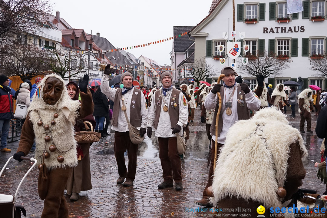 Fasnetsumzug - Fasching: Langenargen am Bodensee, 10.01.2016