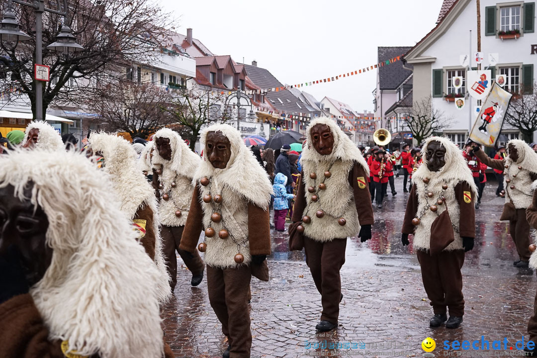 Fasnetsumzug - Fasching: Langenargen am Bodensee, 10.01.2016