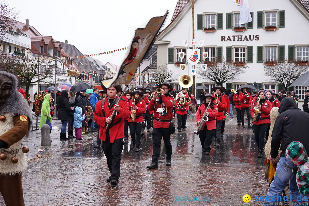 Fasnetsumzug - Fasching: Langenargen am Bodensee, 10.01.2016