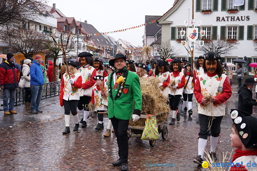 Fasnetsumzug - Fasching: Langenargen am Bodensee, 10.01.2016