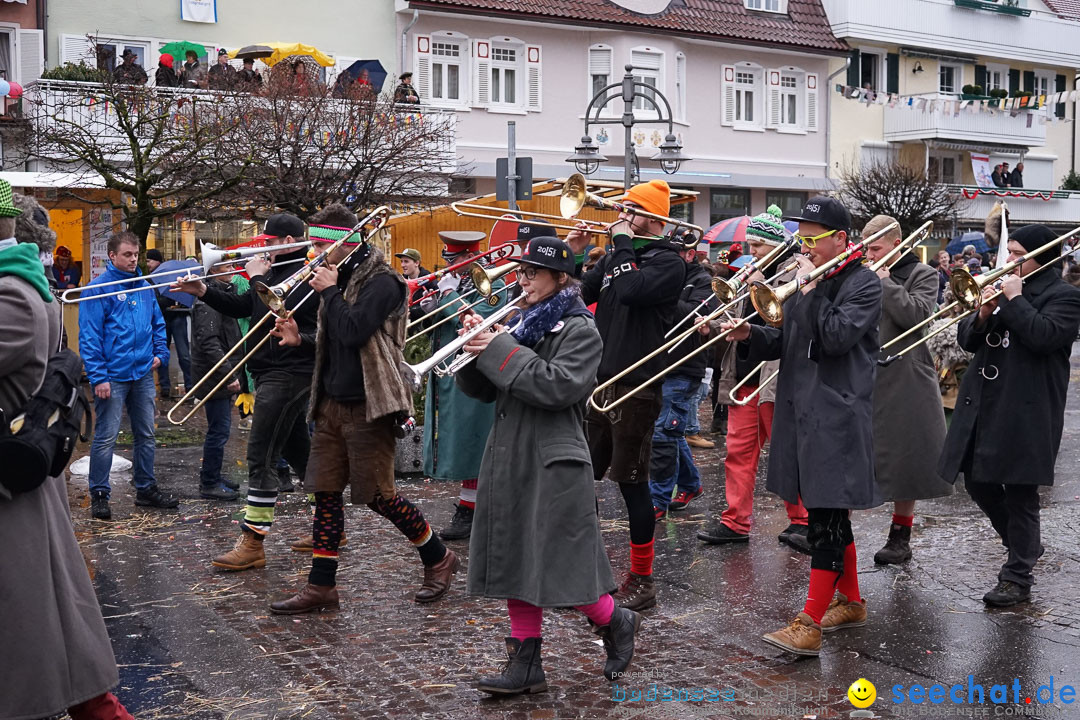 Fasnetsumzug - Fasching: Langenargen am Bodensee, 10.01.2016