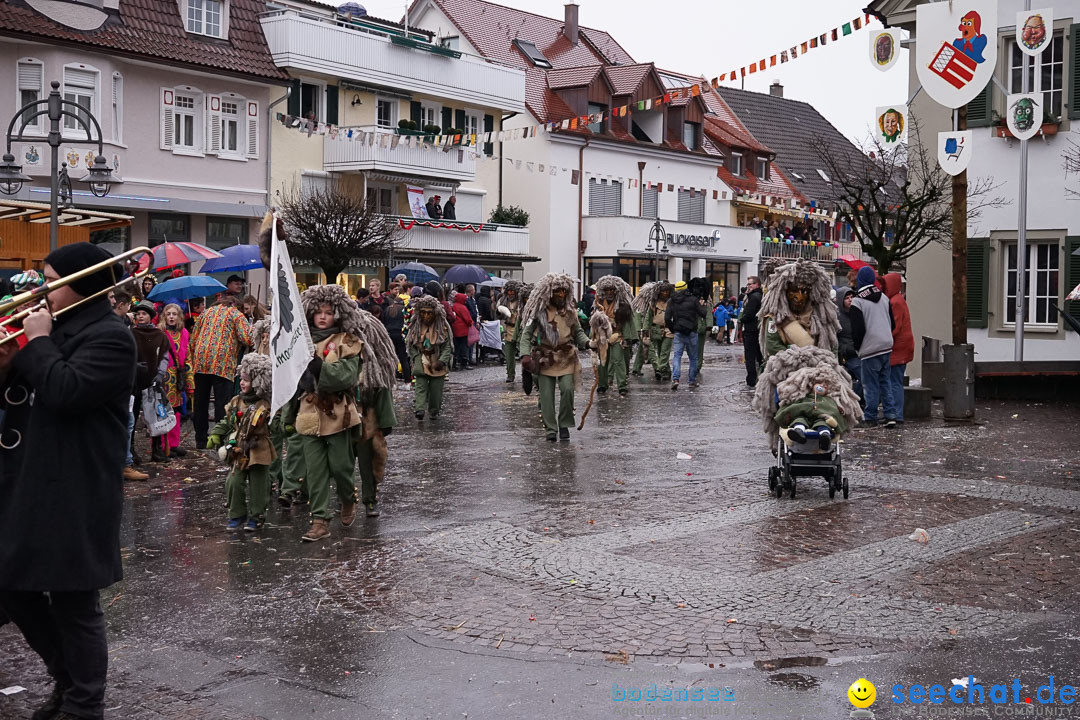 Fasnetsumzug - Fasching: Langenargen am Bodensee, 10.01.2016