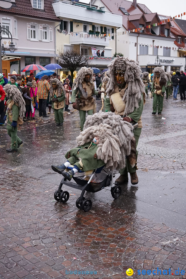 Fasnetsumzug - Fasching: Langenargen am Bodensee, 10.01.2016