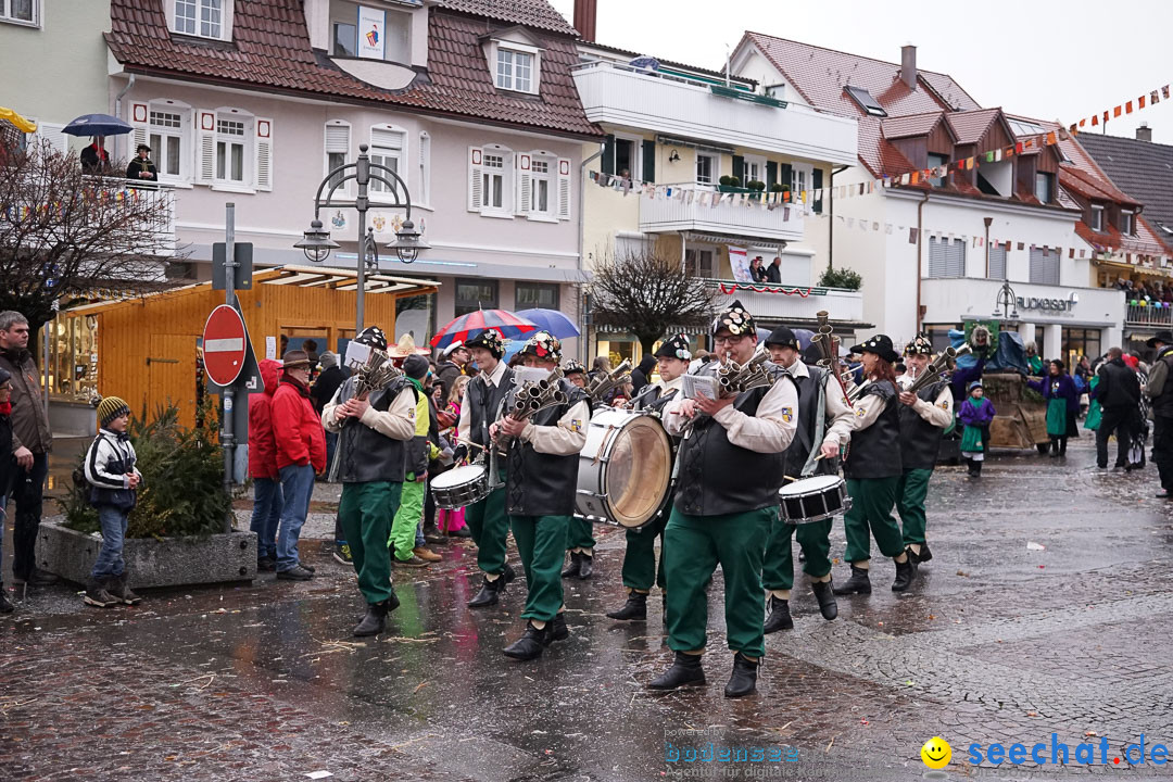 Fasnetsumzug - Fasching: Langenargen am Bodensee, 10.01.2016