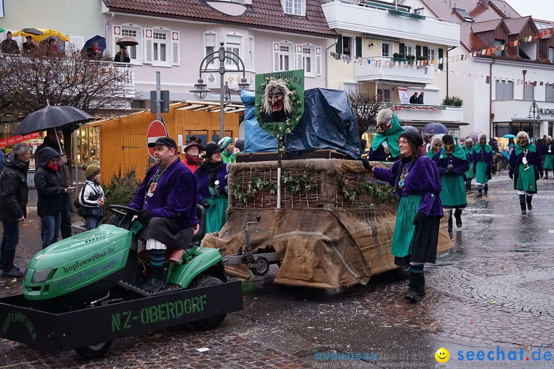 Fasnetsumzug - Fasching: Langenargen am Bodensee, 10.01.2016