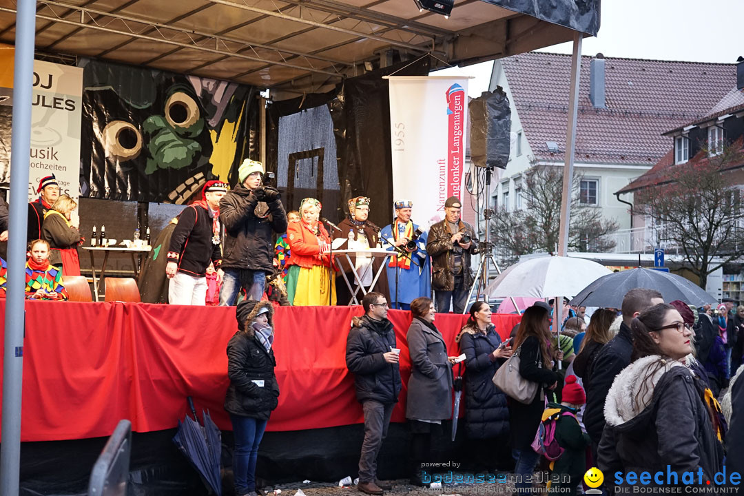 Fasnetsumzug - Fasching: Langenargen am Bodensee, 10.01.2016