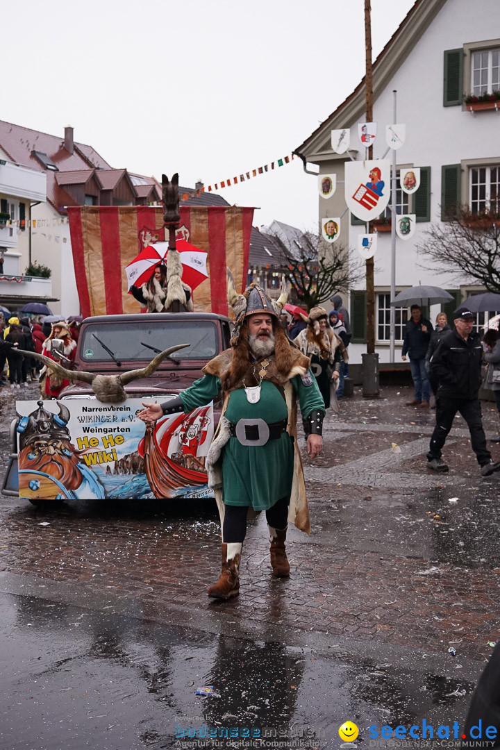 Fasnetsumzug - Fasching: Langenargen am Bodensee, 10.01.2016