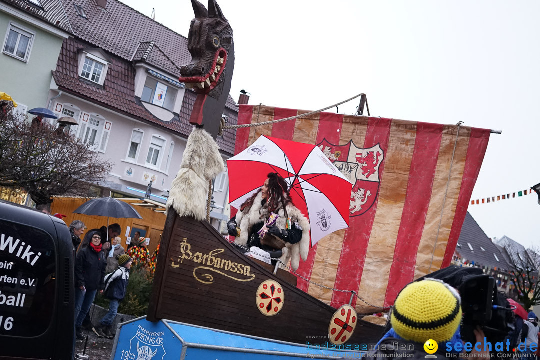 Fasnetsumzug - Fasching: Langenargen am Bodensee, 10.01.2016