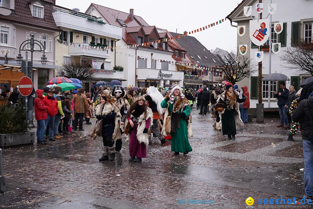 Fasnetsumzug - Fasching: Langenargen am Bodensee, 10.01.2016