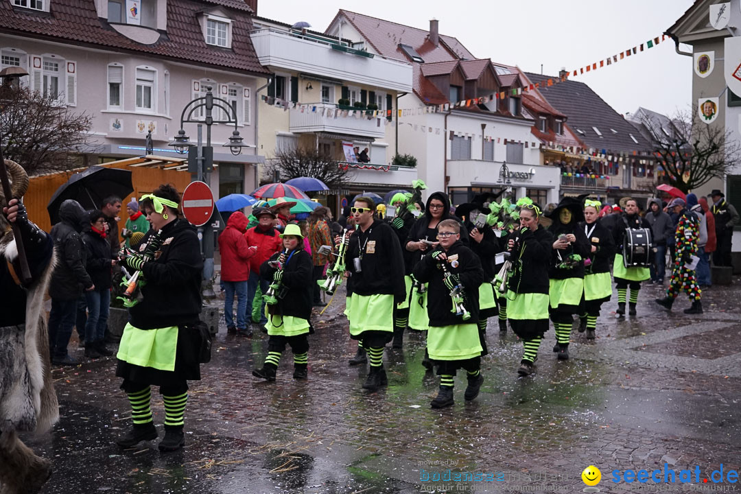 Fasnetsumzug - Fasching: Langenargen am Bodensee, 10.01.2016