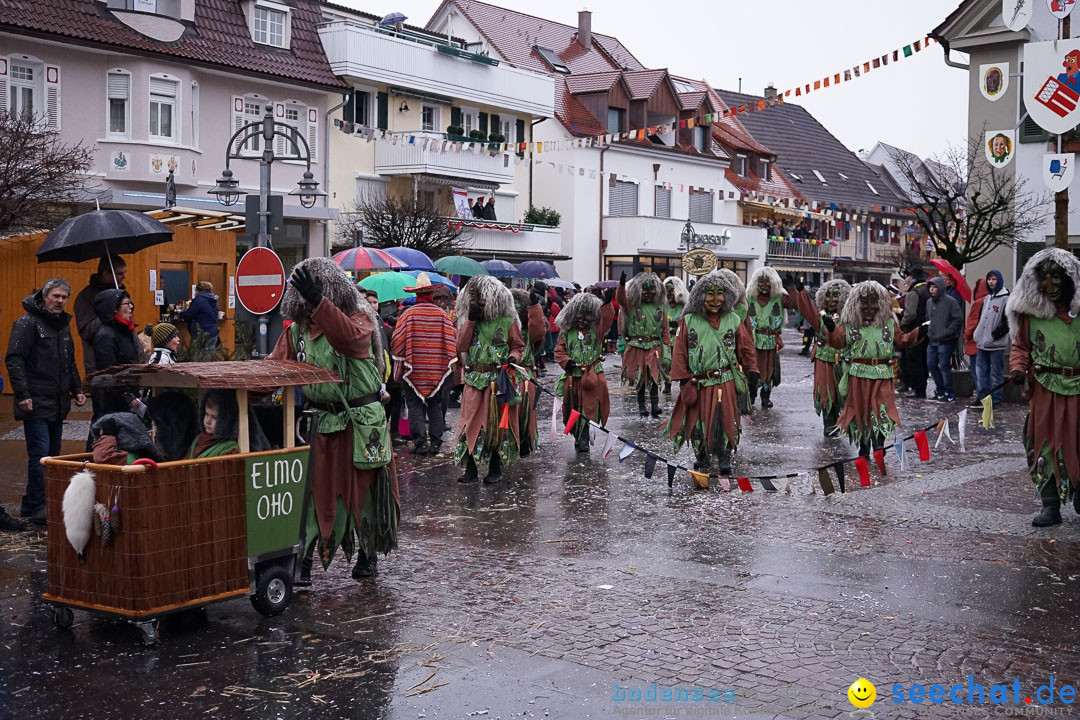 Fasnetsumzug - Fasching: Langenargen am Bodensee, 10.01.2016