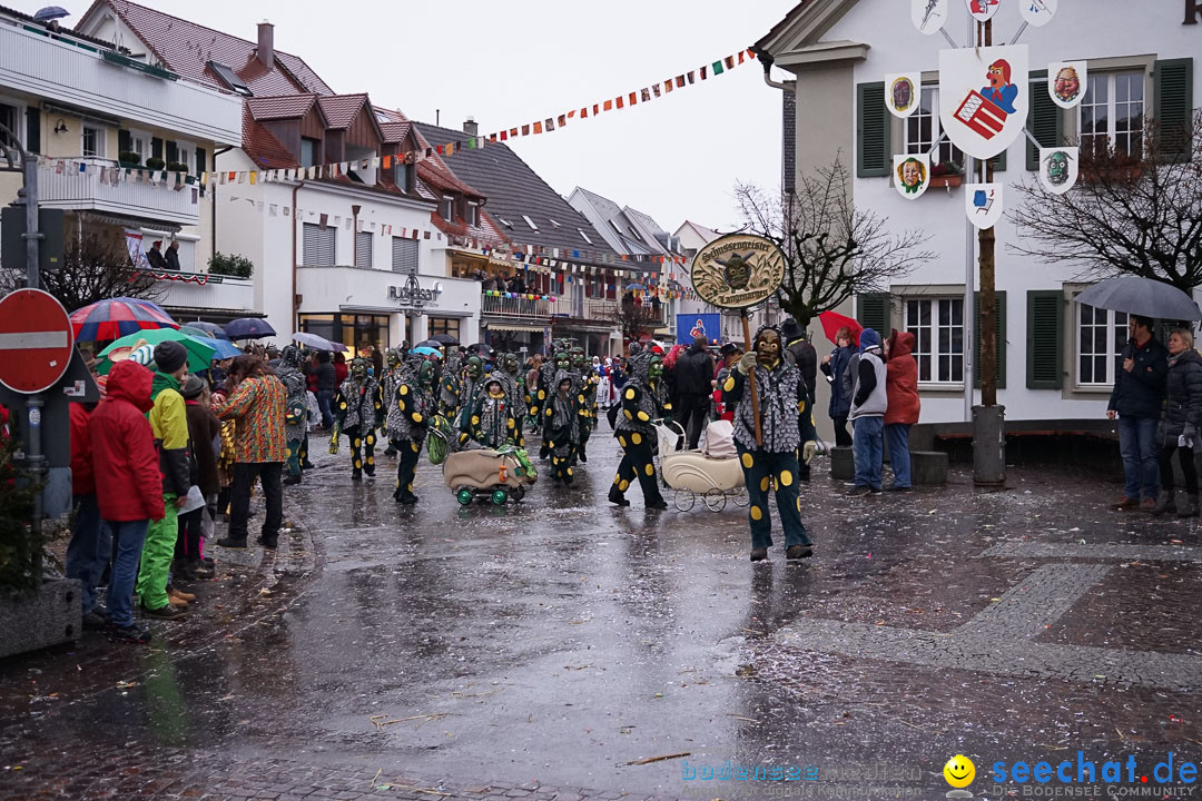 Fasnetsumzug - Fasching: Langenargen am Bodensee, 10.01.2016