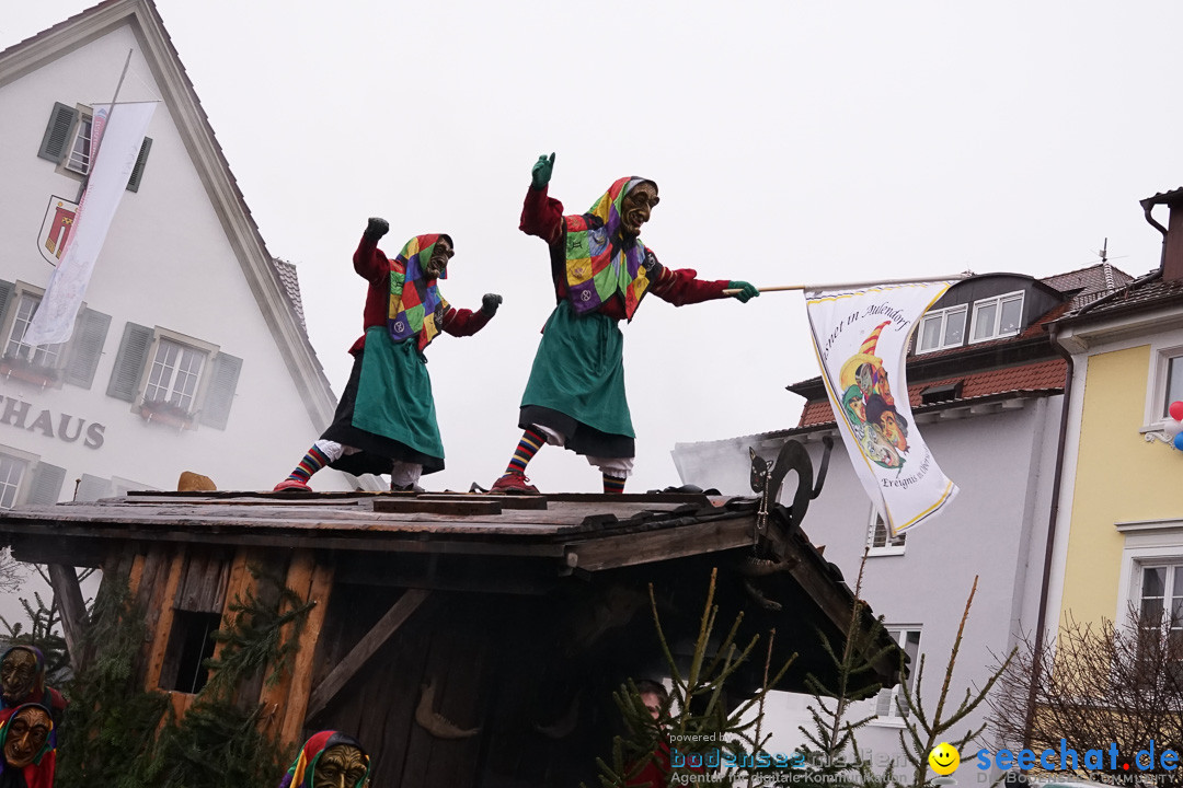 Fasnetsumzug - Fasching: Langenargen am Bodensee, 10.01.2016