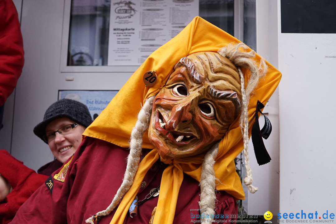 Fasnetsumzug - Fasching: Langenargen am Bodensee, 10.01.2016