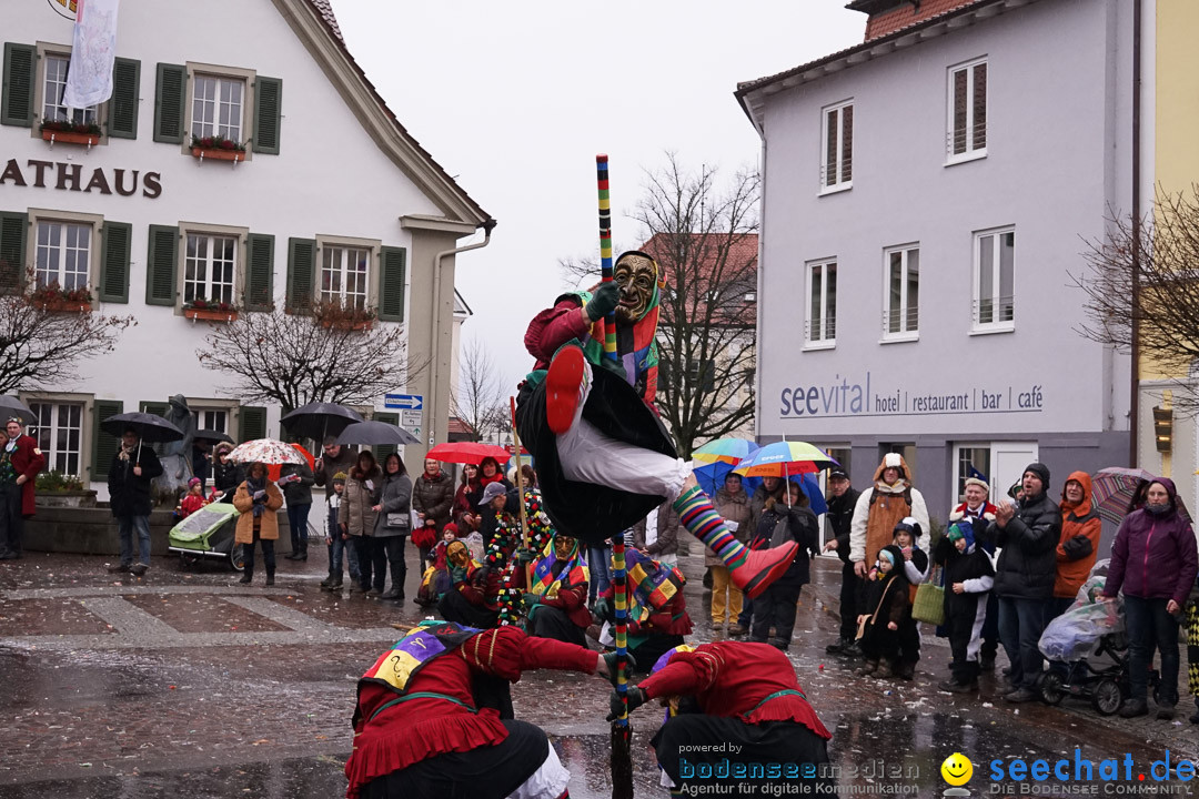 Fasnetsumzug - Fasching: Langenargen am Bodensee, 10.01.2016