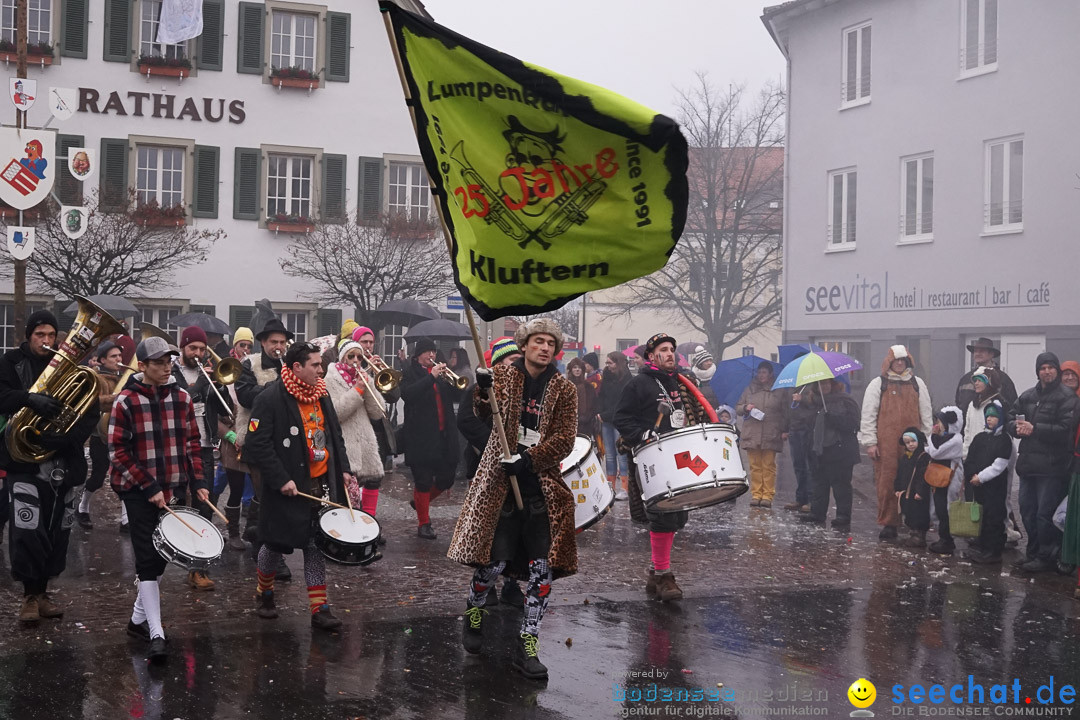 Fasnetsumzug - Fasching: Langenargen am Bodensee, 10.01.2016