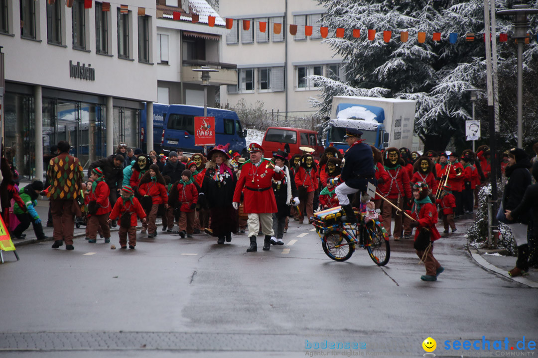 Fasnetsumzug - Fasching: Markdorf am Bodensee, 16.01.2016