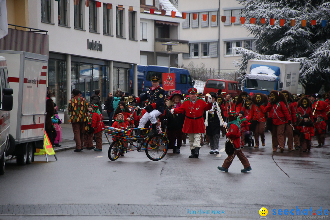 Fasnetsumzug - Fasching: Markdorf am Bodensee, 16.01.2016