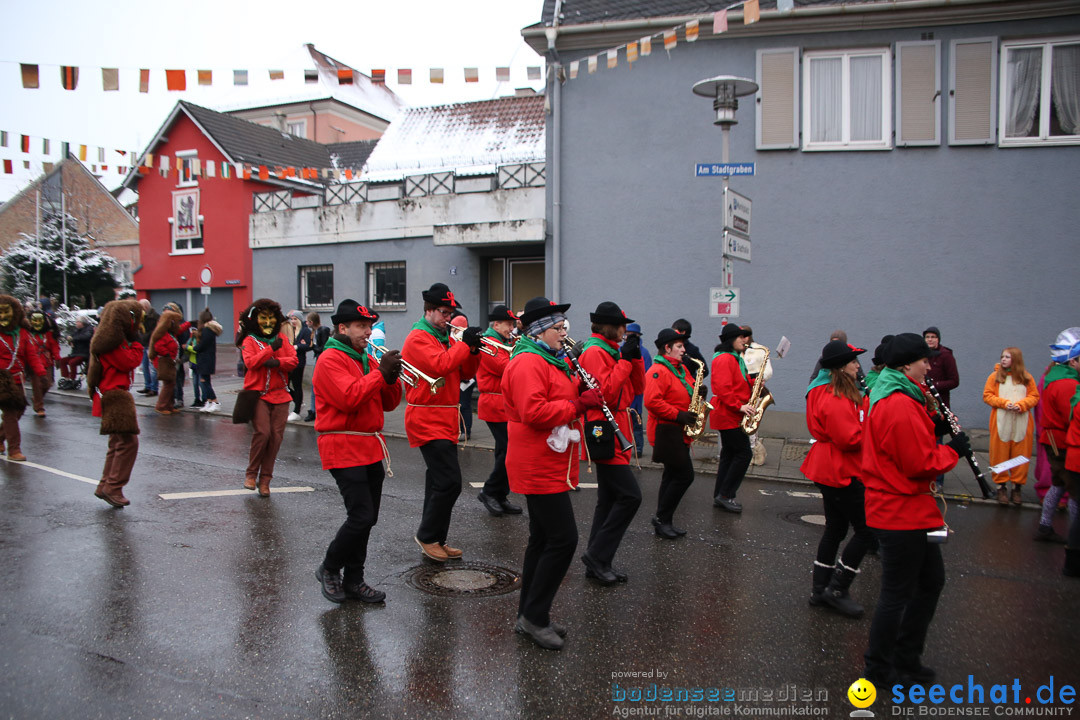 Fasnetsumzug - Fasching: Markdorf am Bodensee, 16.01.2016