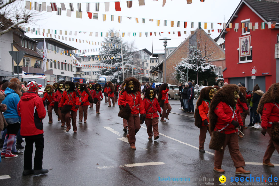 Fasnetsumzug - Fasching: Markdorf am Bodensee, 16.01.2016