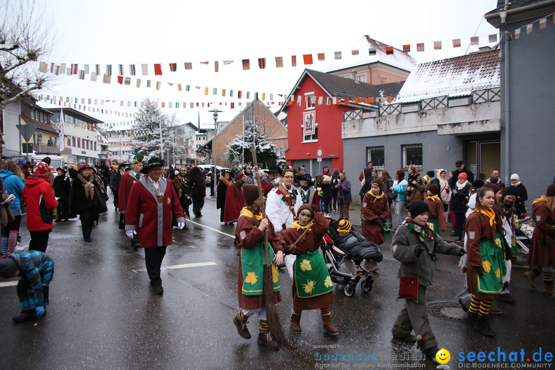 Fasnetsumzug - Fasching: Markdorf am Bodensee, 16.01.2016