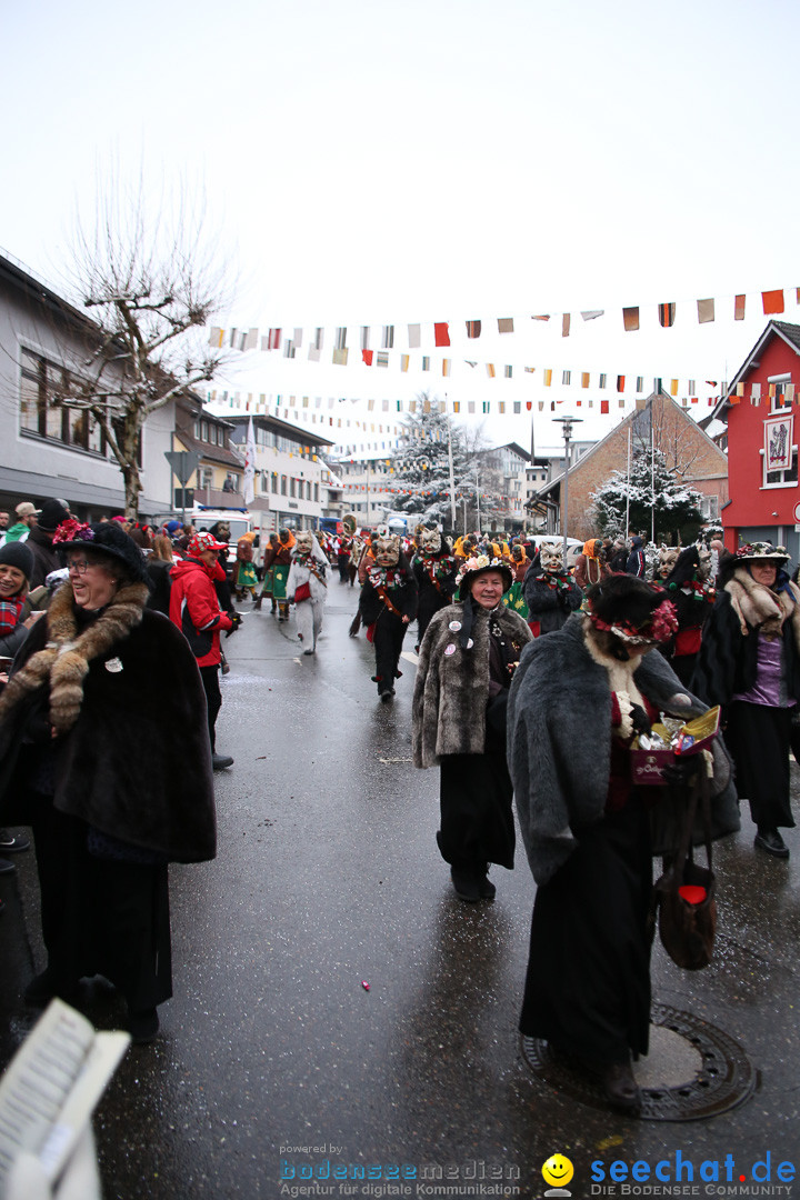 Fasnetsumzug - Fasching: Markdorf am Bodensee, 16.01.2016