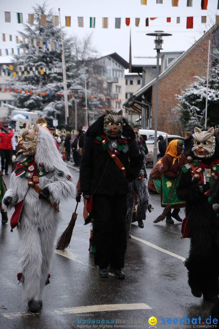 Fasnetsumzug - Fasching: Markdorf am Bodensee, 16.01.2016