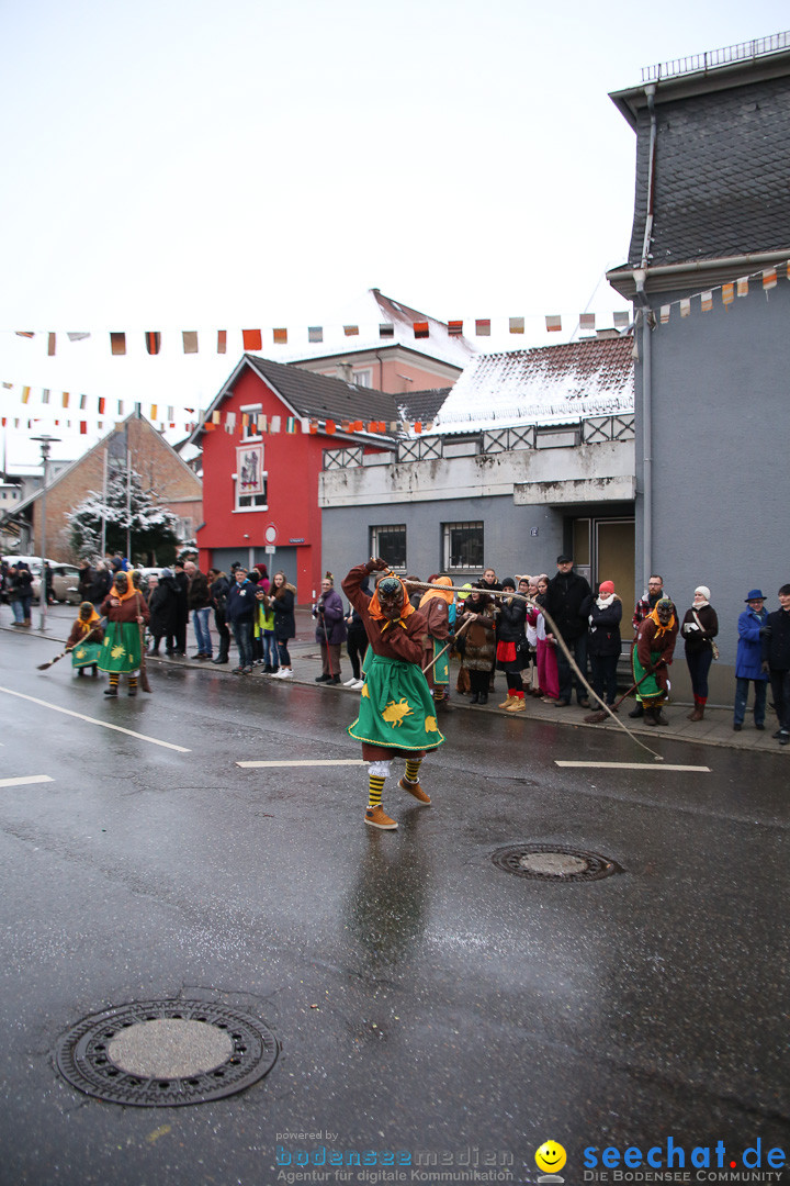 Fasnetsumzug - Fasching: Markdorf am Bodensee, 16.01.2016