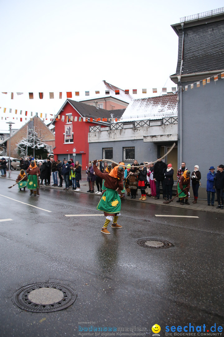 Fasnetsumzug - Fasching: Markdorf am Bodensee, 16.01.2016