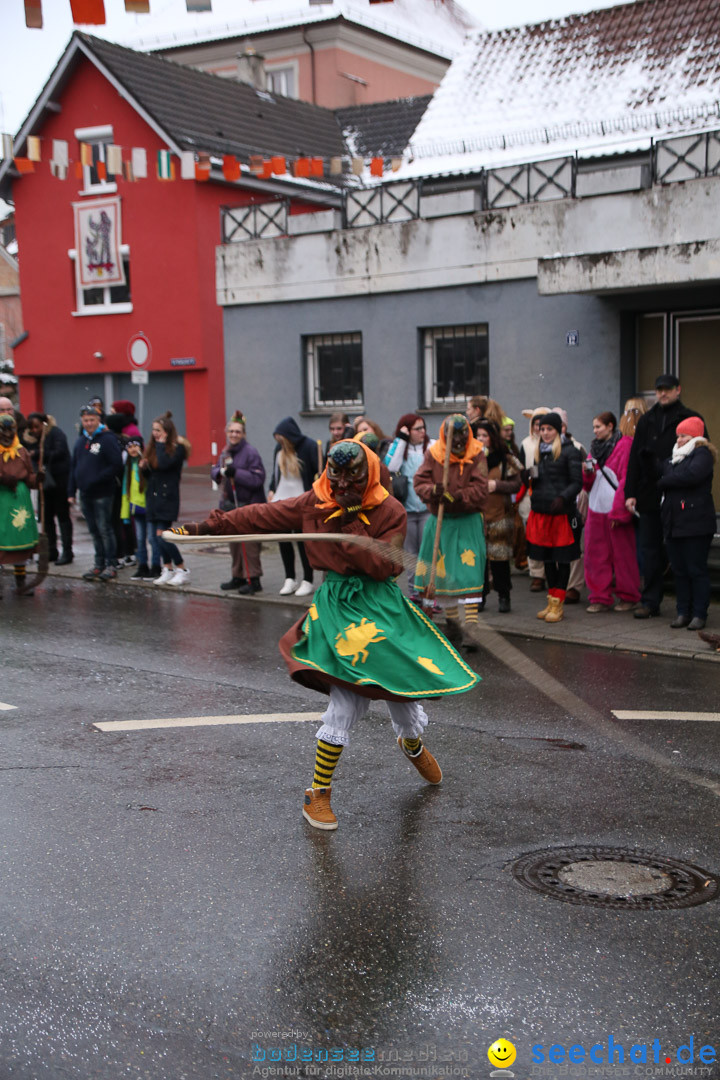 Fasnetsumzug - Fasching: Markdorf am Bodensee, 16.01.2016