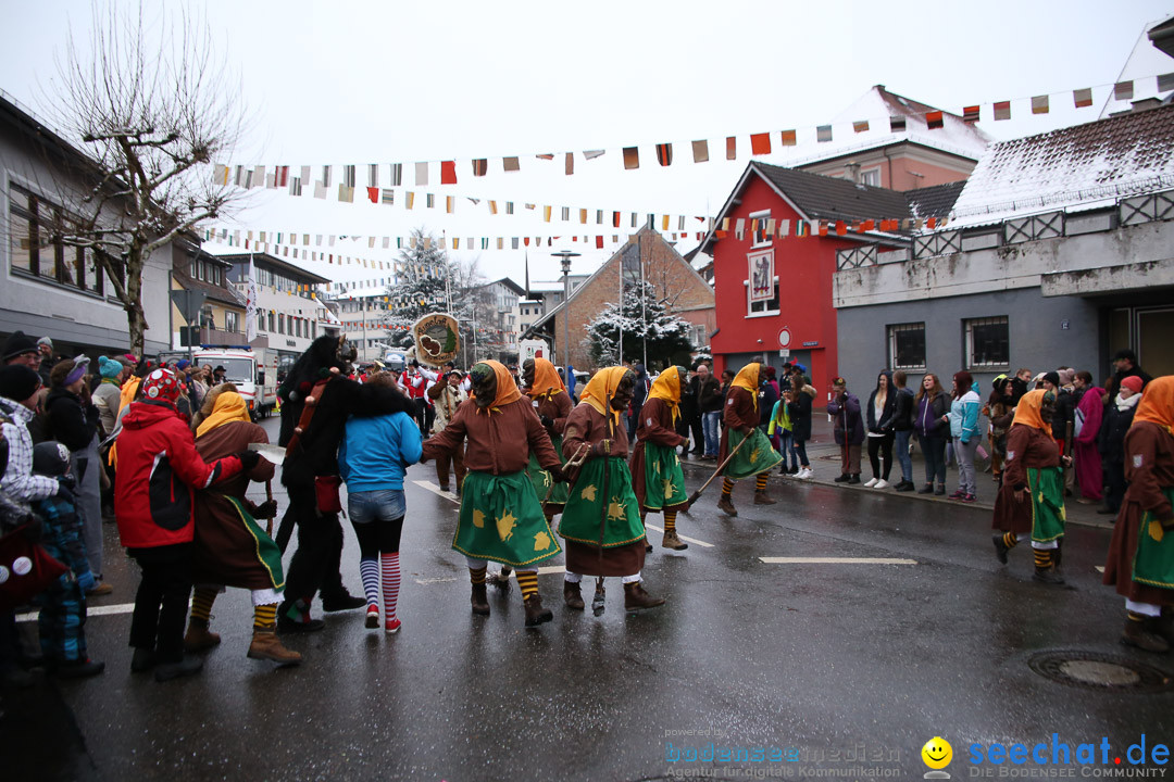 Fasnetsumzug - Fasching: Markdorf am Bodensee, 16.01.2016