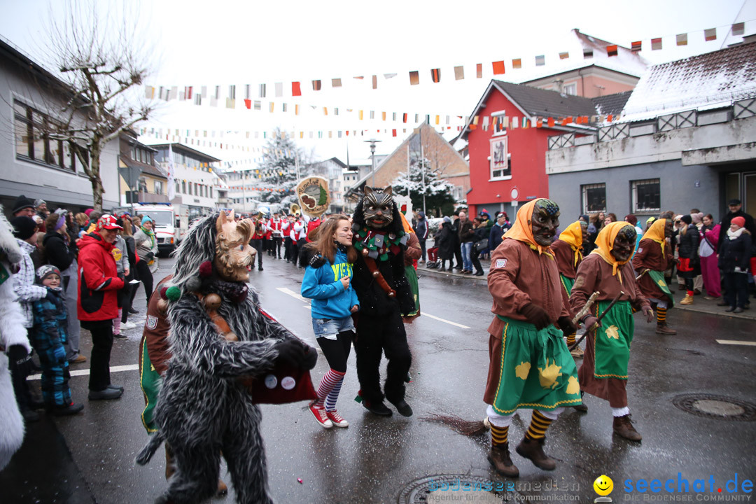 Fasnetsumzug - Fasching: Markdorf am Bodensee, 16.01.2016