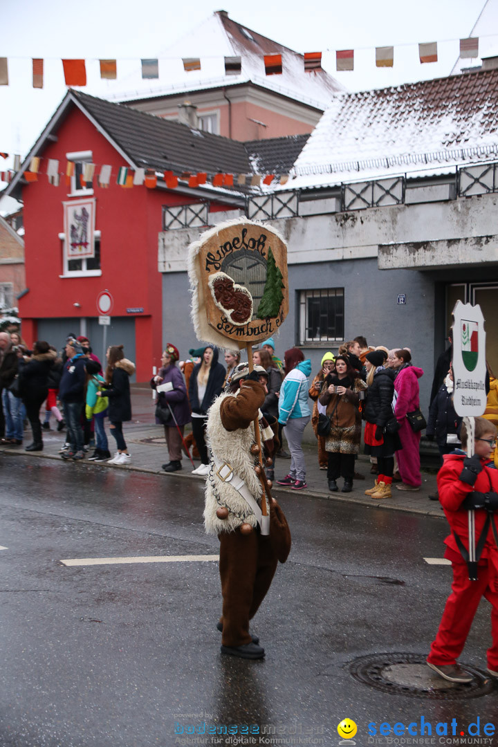 Fasnetsumzug - Fasching: Markdorf am Bodensee, 16.01.2016